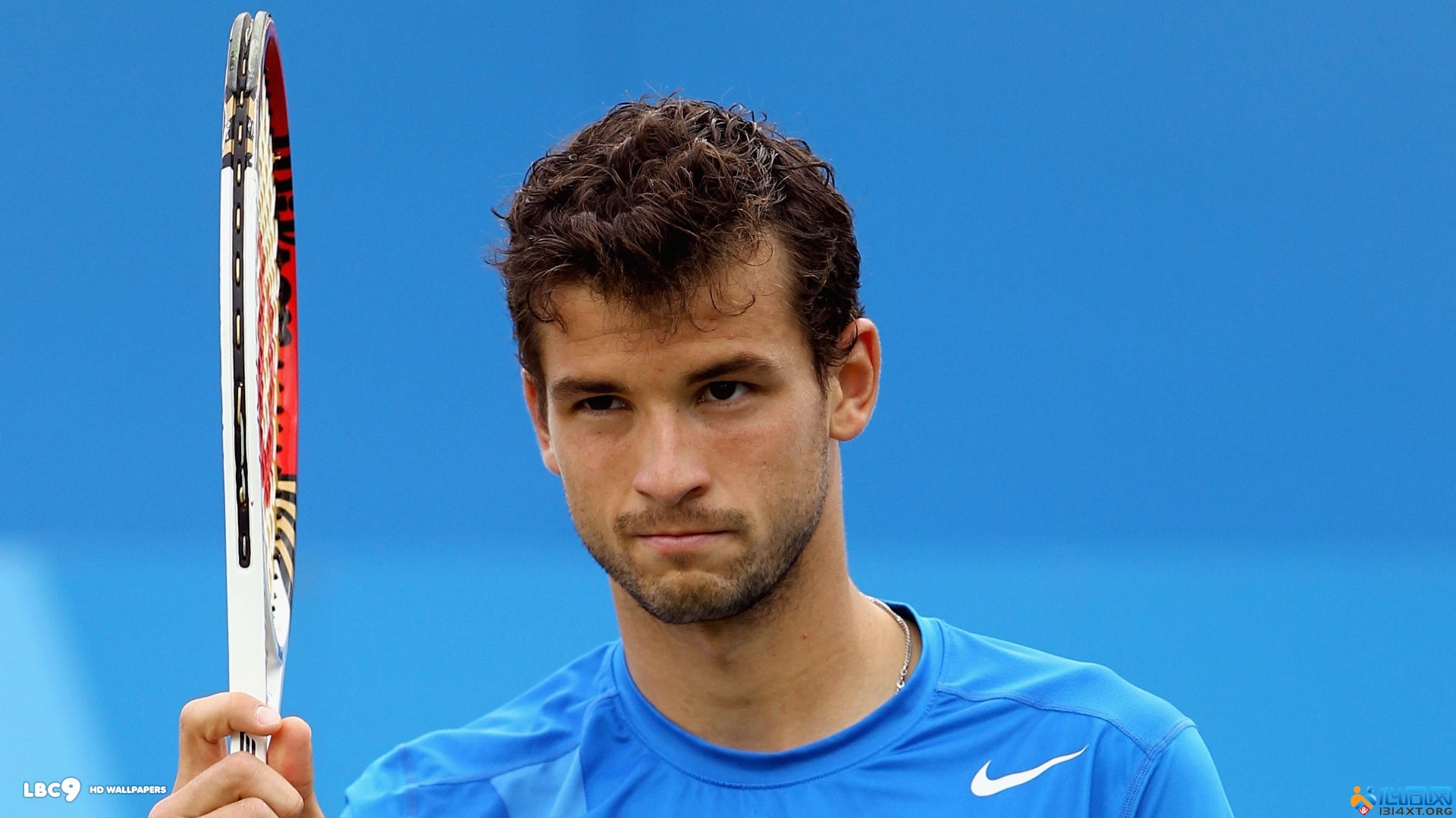 网坛进入了 网坛进入了