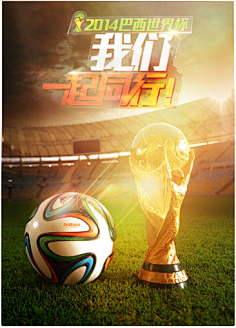 它们不仅是 它们不仅是